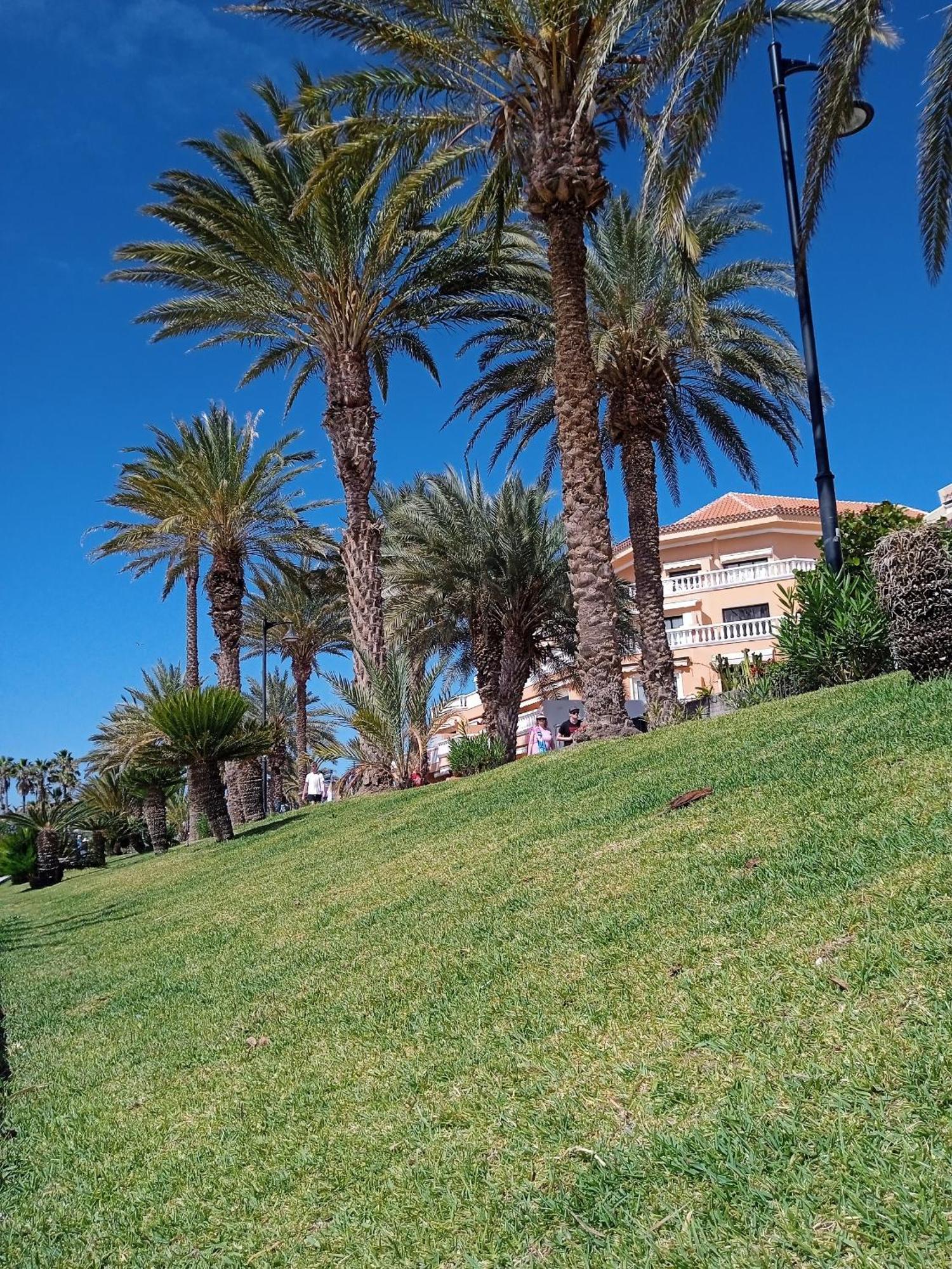 Apartamento Familiar Con Piscina Con Wi Fi En Los Cristianos Los Cristianos  Exteriör bild